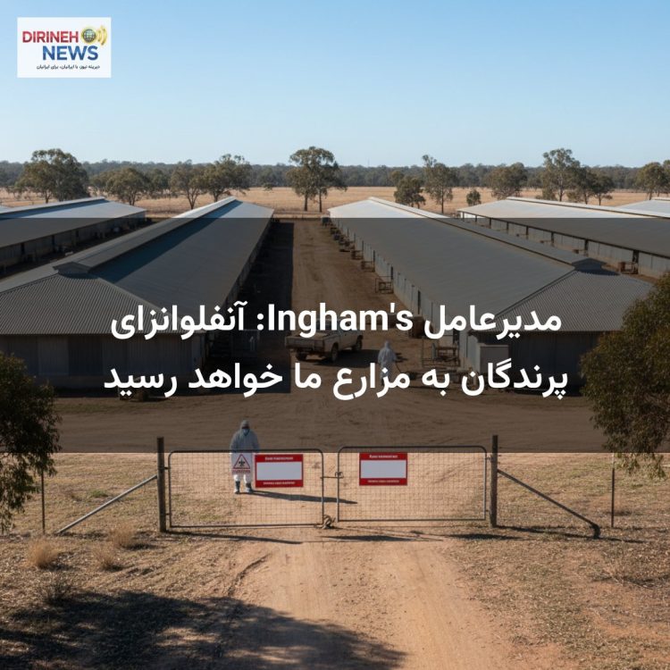 مدیرعامل Ingham's: آنفلوانزای پرندگان به مزارع ما خواهد رسید
