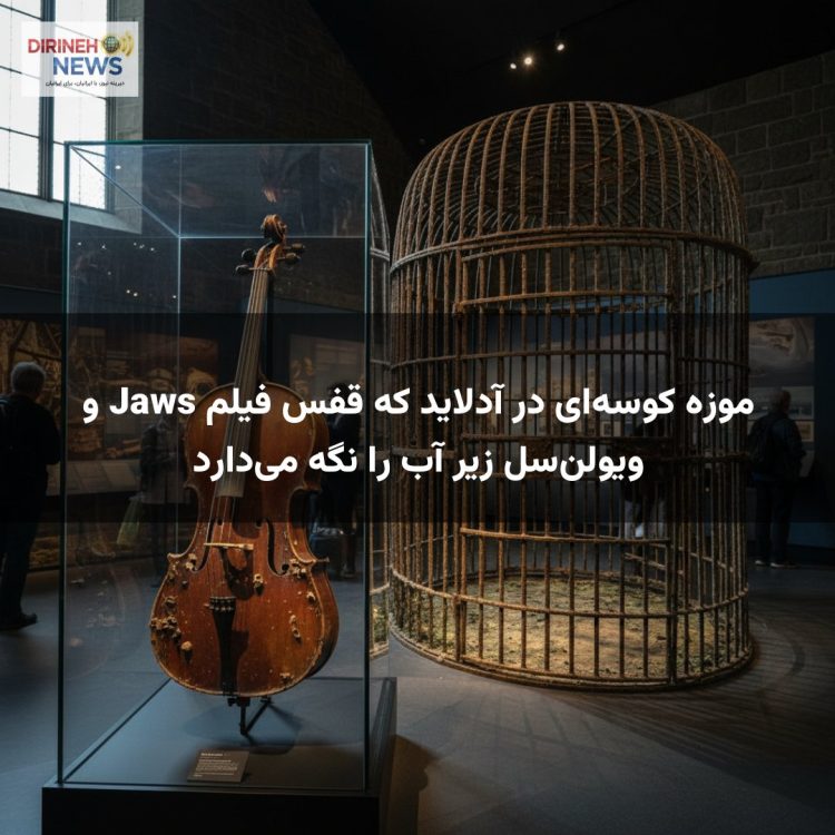 موزه کوسهای در آدلاید که قفس فیلم Jaws و ویولنسل زیر آب را نگه میدارد