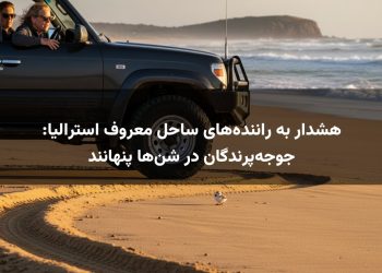 هشدار به راننده‌های ساحل معروف استرالیا: جوجه‌پرندگان در شن‌ها پنهانند