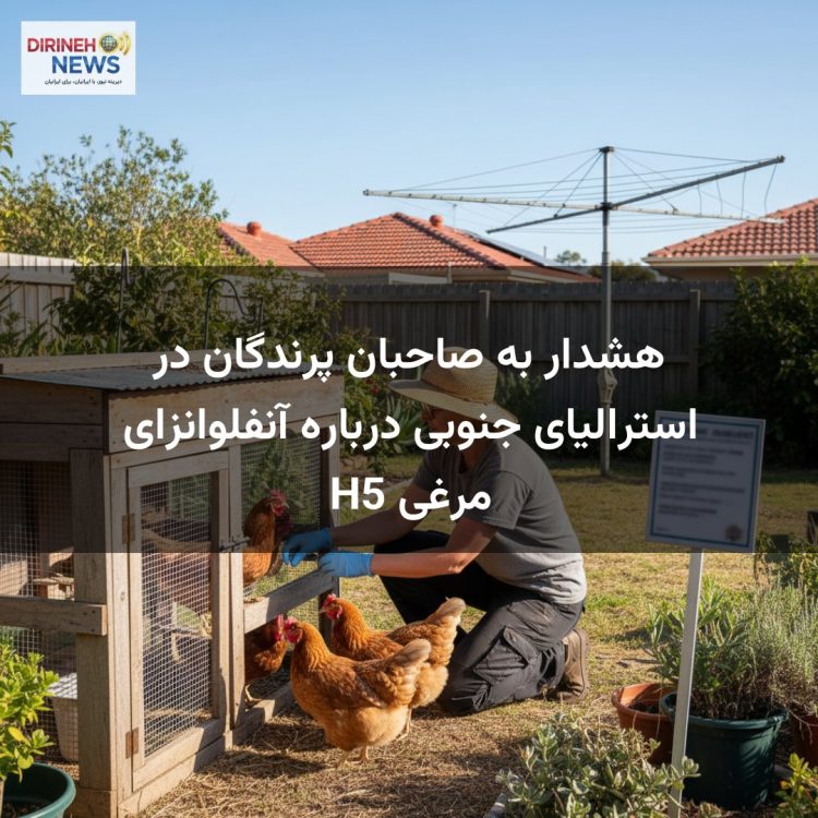 هشدار به صاحبان پرندگان در استرالیای جنوبی درباره آنفلوانزای مرغی H5