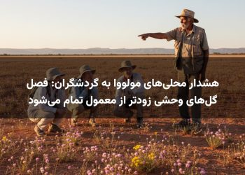 هشدار محلی‌های مولووا به گردشگران: فصل گل‌های وحشی زودتر از معمول تمام می‌شود