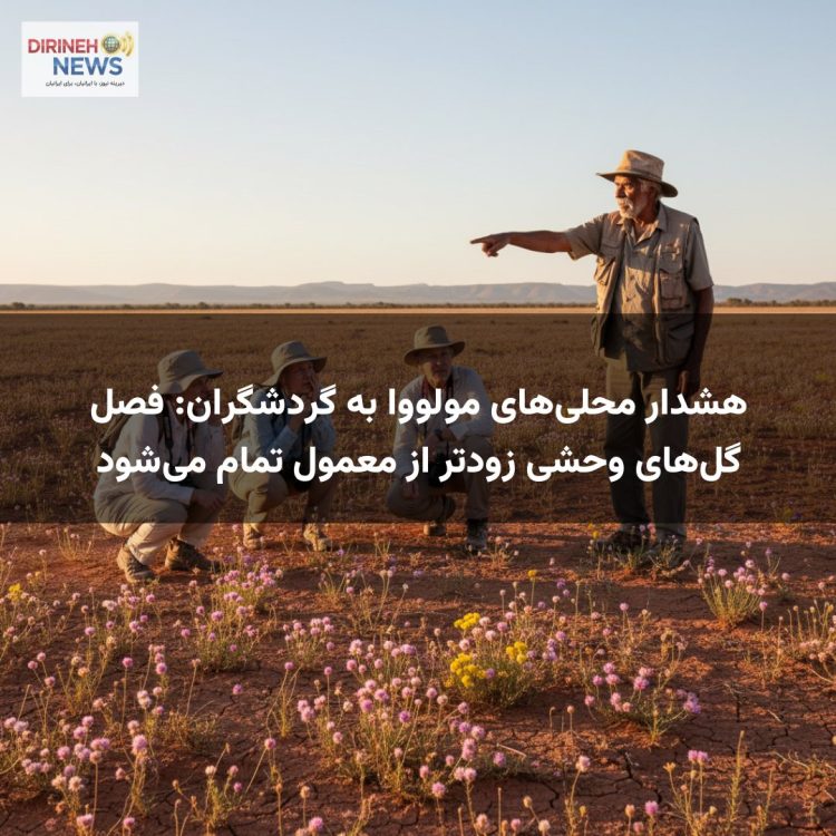 هشدار محلی‌های مولووا به گردشگران: فصل گل‌های وحشی زودتر از معمول تمام می‌شود