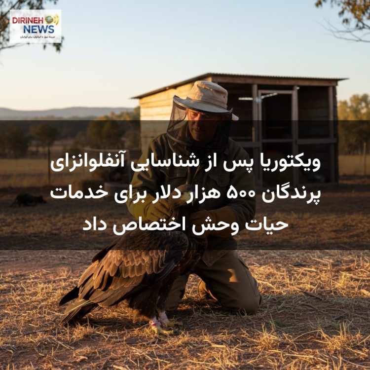 ویکتوریا پس از شناسایی آنفلوانزای پرندگان ۵۰۰ هزار دلار برای خدمات حیات وحش اختصاص داد