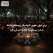 پدر لیلی هوپر خواستار نیمه‌افراشته شدن پرچم به یاد دخترش شد