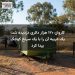 کاروان ۱۲۰ هزار دلاری دزدیده شد؛ یک غریبه آن را با یک سرنخ کوچک پیدا کرد
