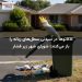 کاکاتوها در سیدنی سطل‌های زباله را باز می‌کنند؛ شورای شهر زیر فشار