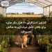 کشاورز استرالیایی ۲۰ هزار دلار جایزه برای یافتن عامل تیراندازی به سگش تعیین کرد