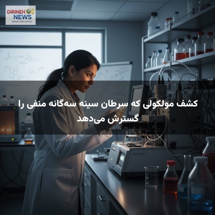 کشف مولکولی که سرطان سینه سهگانه منفی را گسترش میدهد