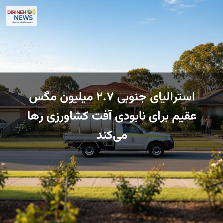استرالیای جنوبی ۲.۷ میلیون مگس عقیم برای نابودی آفت کشاورزی رها میکند