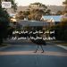 اِمو نادر ساحلی در خیابانهای بایرونبی محلیها را متحیر کرد