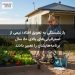 بازنشستگی به تعویق افتاد؛ نیمی از استرالیایی‌های بالای ۵۰ سال برنامه‌هایشان را تغییر دادند
