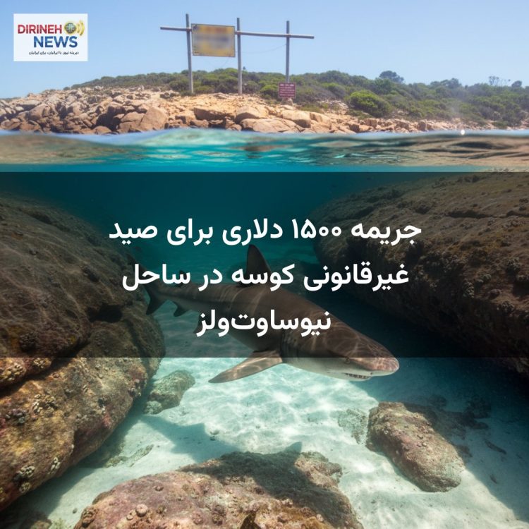 جریمه ۱۵۰۰ دلاری برای صید غیرقانونی کوسه در ساحل نیوساوت‌ولز