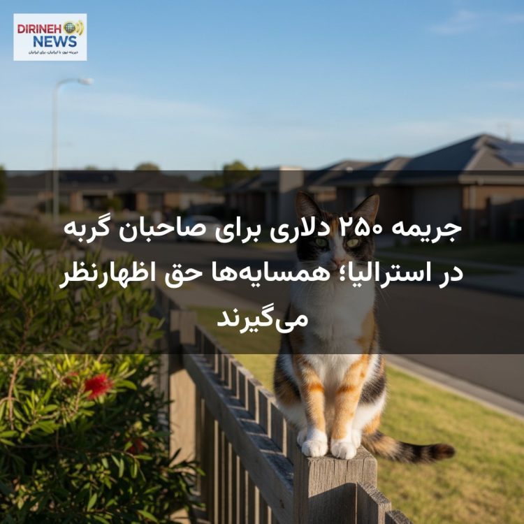 جریمه ۲۵۰ دلاری برای صاحبان گربه در استرالیا؛ همسایه‌ها حق اظهارنظر می‌گیرند
