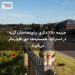 جریمه ۲۵۰ دلاری برای صاحبان گربه در استرالیا؛ همسایهها حق اظهارنظر میگیرند
