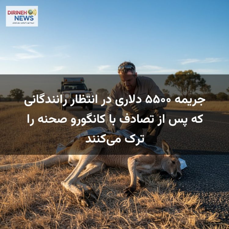 جریمه ۵۵۰۰ دلاری در انتظار رانندگانی که پس از تصادف با کانگورو صحنه را ترک می‌کنند