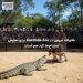 خانواده ایروین در Australia Zoo برای نمایش تمساح‌ها گرد هم آمدند