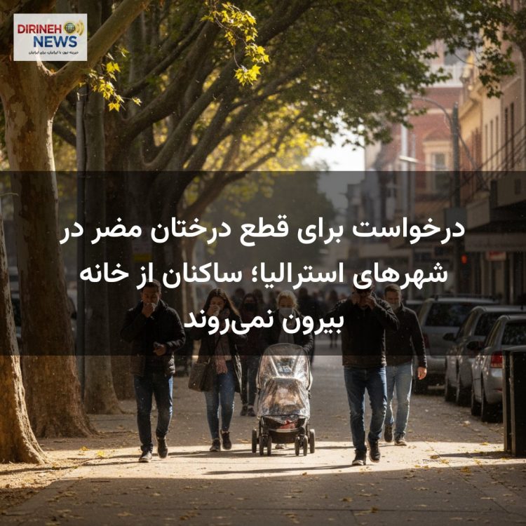 درخواست برای قطع درختان مضر در شهرهای استرالیا؛ ساکنان از خانه بیرون نمی‌روند
