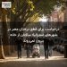 درخواست برای قطع درختان مضر در شهرهای استرالیا؛ ساکنان از خانه بیرون نمی‌روند
