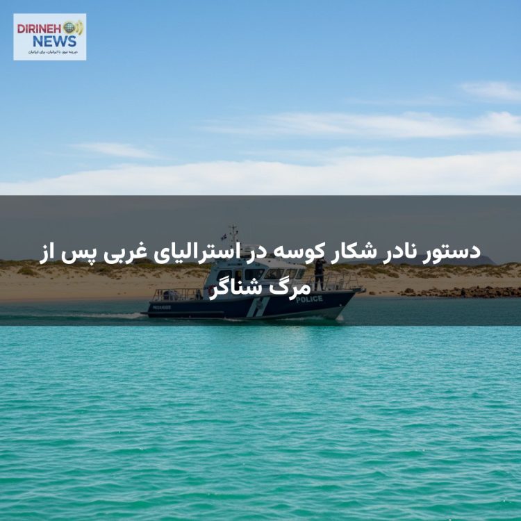 دستور نادر شکار کوسه در استرالیای غربی پس از مرگ شناگر
