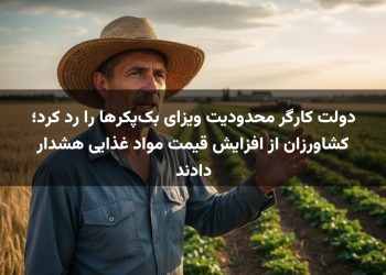 دولت کارگر محدودیت ویزای بک‌پکرها را رد کرد؛ کشاورزان از افزایش قیمت مواد غذایی هشدار دادند
