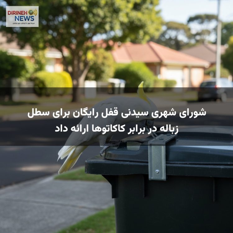 شورای شهری سیدنی قفل رایگان برای سطل زباله در برابر کاکاتوها ارائه داد