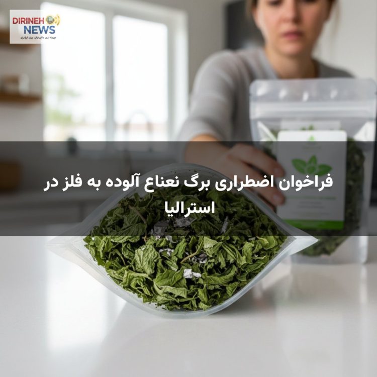 فراخوان اضطراری برگ نعناع آلوده به فلز در استرالیا