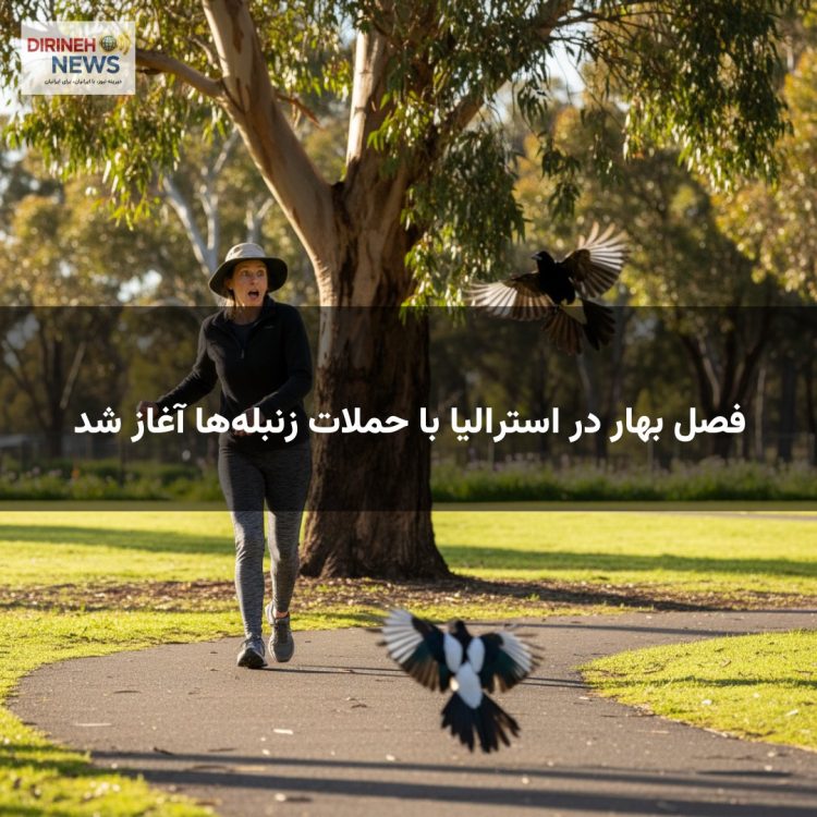 فصل بهار در استرالیا با حملات زنبله‌ها آغاز شد