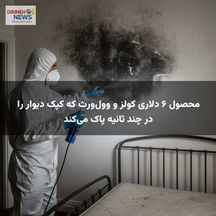 محصول ۶ دلاری کولز و وولورث که کپک دیوار را در چند ثانیه پاک میکند