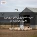 مقررات آنفلوانزای پرندگان در ویکتوریا ۲۸ روز دیگر تمدید شد