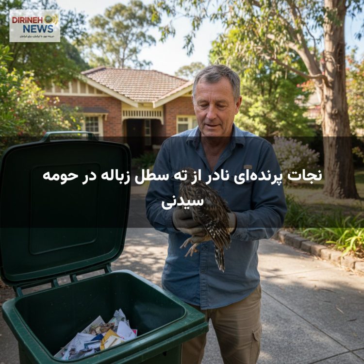 نجات پرنده‌ای نادر از ته سطل زباله در حومه سیدنی