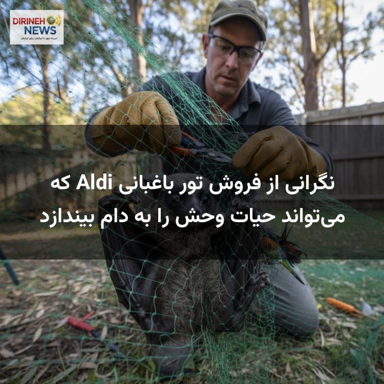 نگرانی از فروش تور باغبانی Aldi که می‌تواند حیات وحش را به دام بیندازد