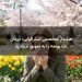 هشدار متخصص استرالیایی: درمان تب یونجه را به تعویق نیندازید