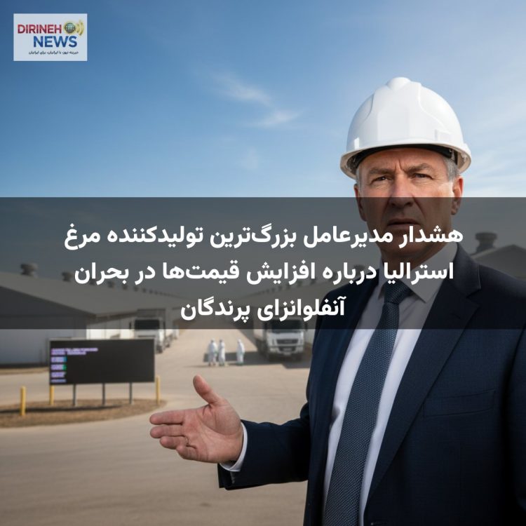 هشدار مدیرعامل بزرگ‌ترین تولیدکننده مرغ استرالیا درباره افزایش قیمت‌ها در بحران آنفلوانزای پرندگان