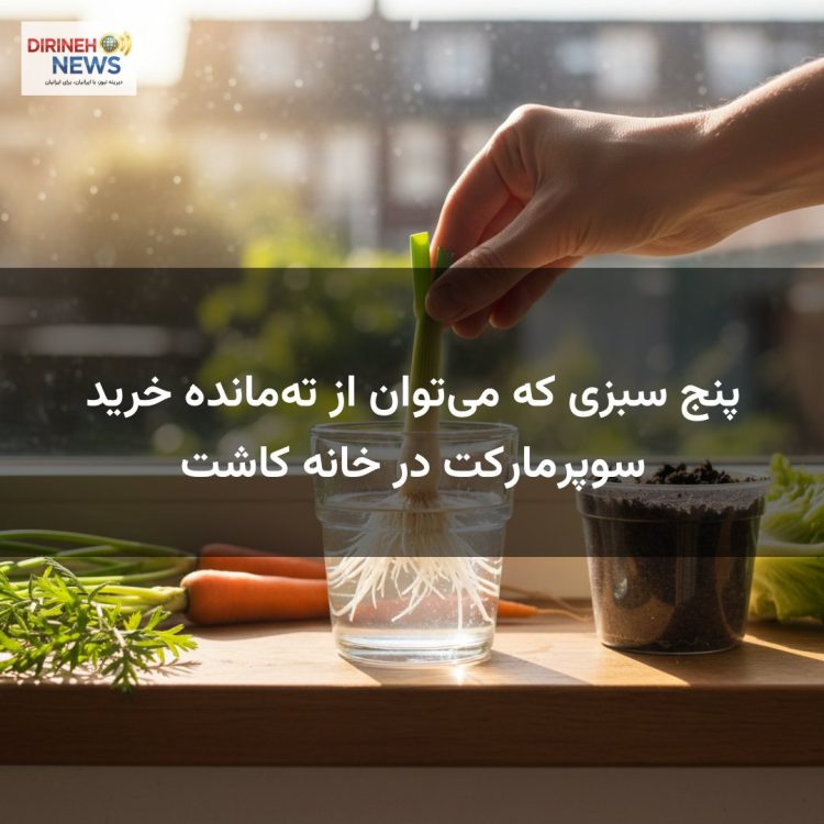 پنج سبزی که می‌توان از ته‌مانده خرید سوپرمارکت در خانه کاشت