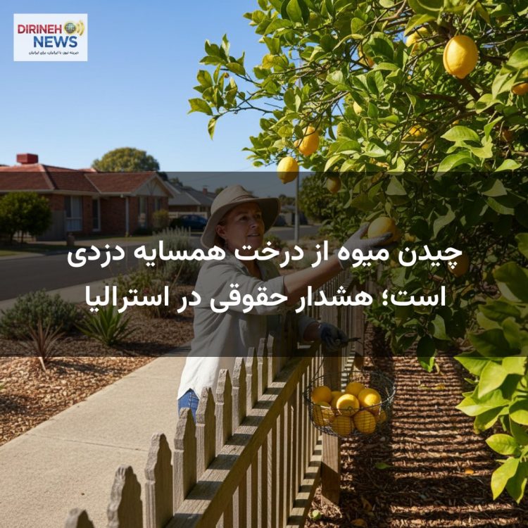 چیدن میوه از درخت همسایه دزدی است؛ هشدار حقوقی در استرالیا