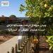 چیدن میوه از درخت همسایه دزدی است؛ هشدار حقوقی در استرالیا