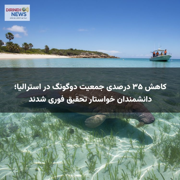 کاهش ۳۵ درصدی جمعیت دوگونگ در استرالیا؛ دانشمندان خواستار تحقیق فوری شدند