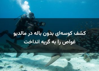کشف کوسه‌ای بدون باله در مالدیو غواص را به گریه انداخت