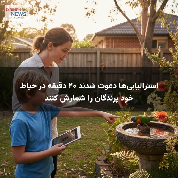 استرالیاییها دعوت شدند ۲۰ دقیقه در حیاط خود پرندگان را شمارش کنند
