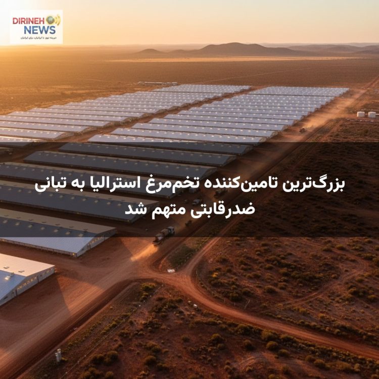 بزرگترین تامینکننده تخممرغ استرالیا به تبانی ضدرقابتی متهم شد