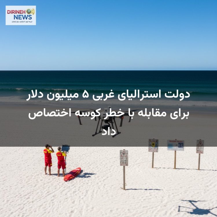دولت استرالیای غربی ۵ میلیون دلار برای مقابله با خطر کوسه اختصاص داد
