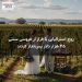 زوج استرالیایی با فرار از عروسی سنتی ۴۵ هزار دلار پسانداز کردند