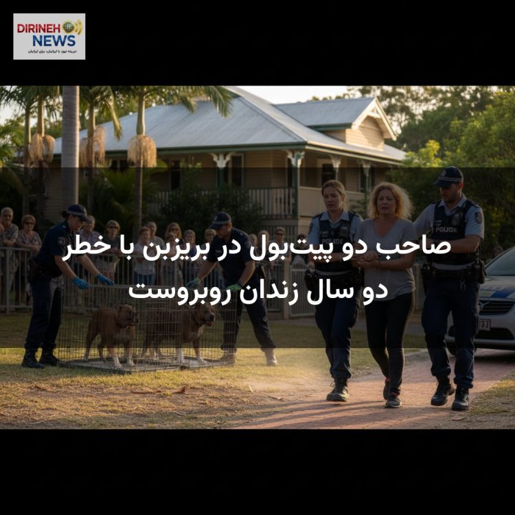 صاحب دو پیت‌بول در بریزبن با خطر دو سال زندان روبروست