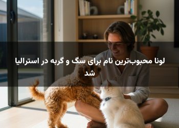 لونا محبوب‌ترین نام برای سگ و گربه در استرالیا شد