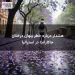 هشدار درباره خطر پنهان درختان جاکاراندا در استرالیا