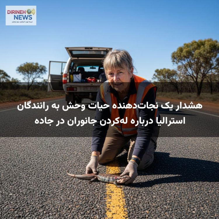 هشدار یک نجات‌دهنده حیات وحش به رانندگان استرالیا درباره له‌کردن جانوران در جاده