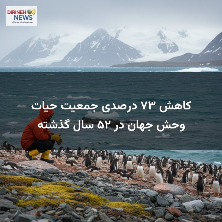 کاهش ۷۳ درصدی جمعیت حیات وحش جهان در ۵۲ سال گذشته