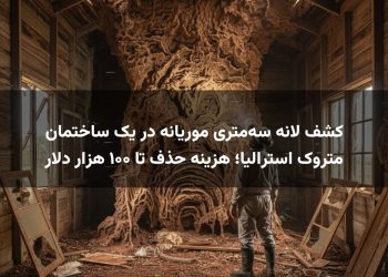 کشف لانه سه‌متری موریانه در یک ساختمان متروک استرالیا؛ هزینه حذف تا ۱۰۰ هزار دلار
