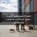 کشف لانه مورچههای آتشین در سیدنی؛ ۱۰ محله زیر محدودیت زیستامنیتی