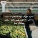 کمبود موز در فروشگاه‌های استرالیا؛ راه‌حل ساده‌ای برای رسیدن سریع‌تر موزهای سبز